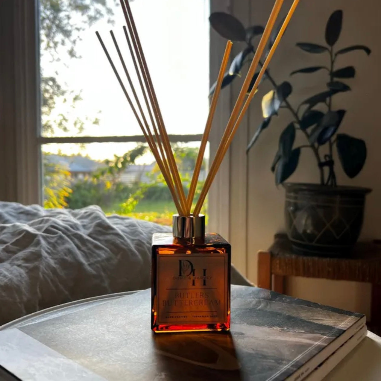 Butlers Buttercream Diffuser with wooden sticks sat on a stack of magazines in front of a sunny window and green potted plant