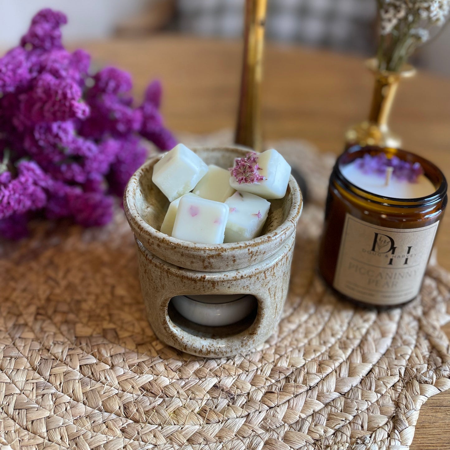 Cape Lodi Coconut | Wax Melts