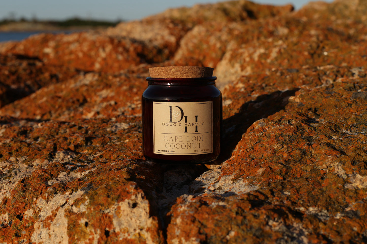 Doug & Harvey ‘Cape Lodi Coconut’ candle in an amber glass jar with cork lid, photographed outdoors on rugged Tasmanian rocks with ocean horizon in the background.
