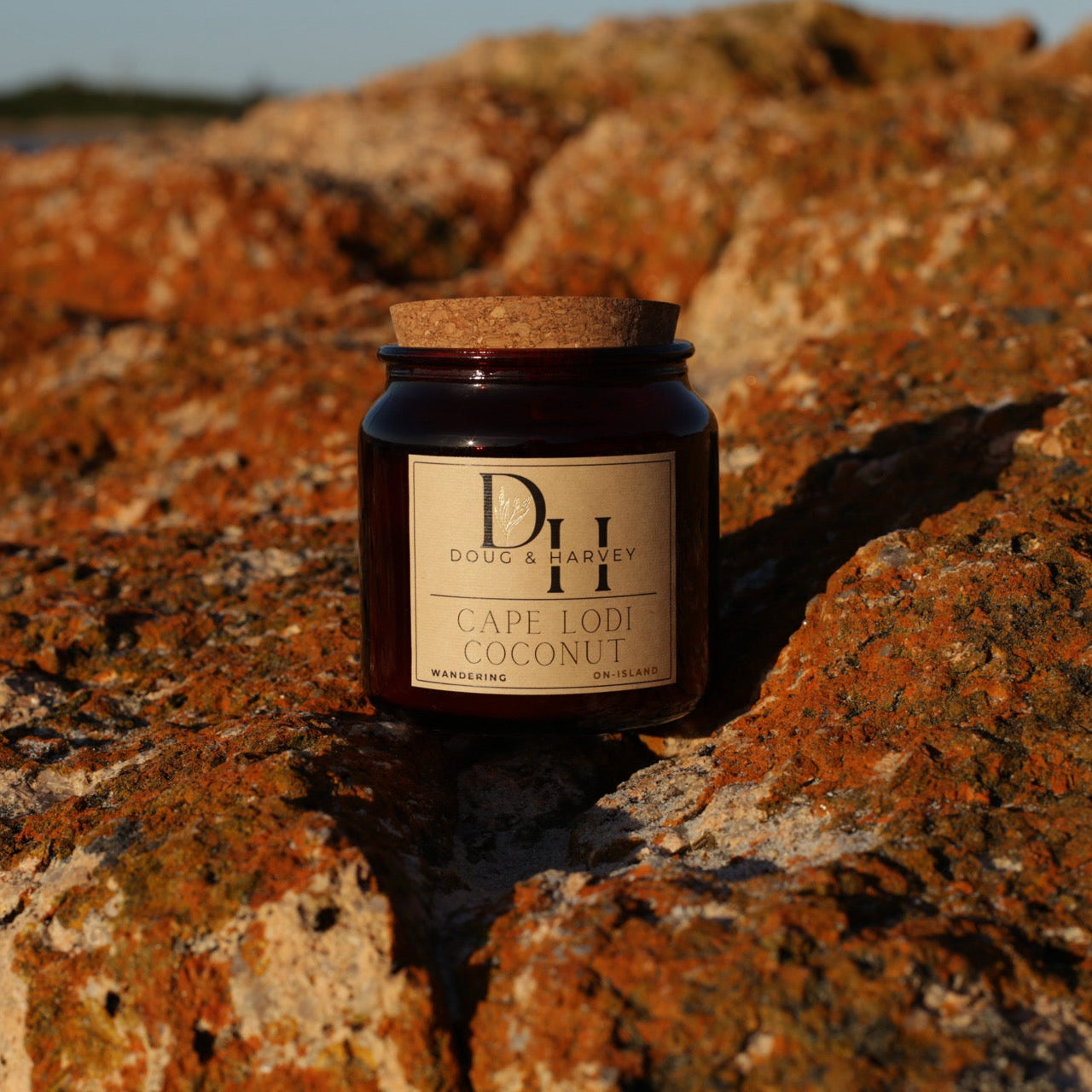Doug & Harvey ‘Cape Lodi Coconut’ candle in an amber glass jar with cork lid, photographed outdoors on rugged Tasmanian rocks with ocean horizon in the background.