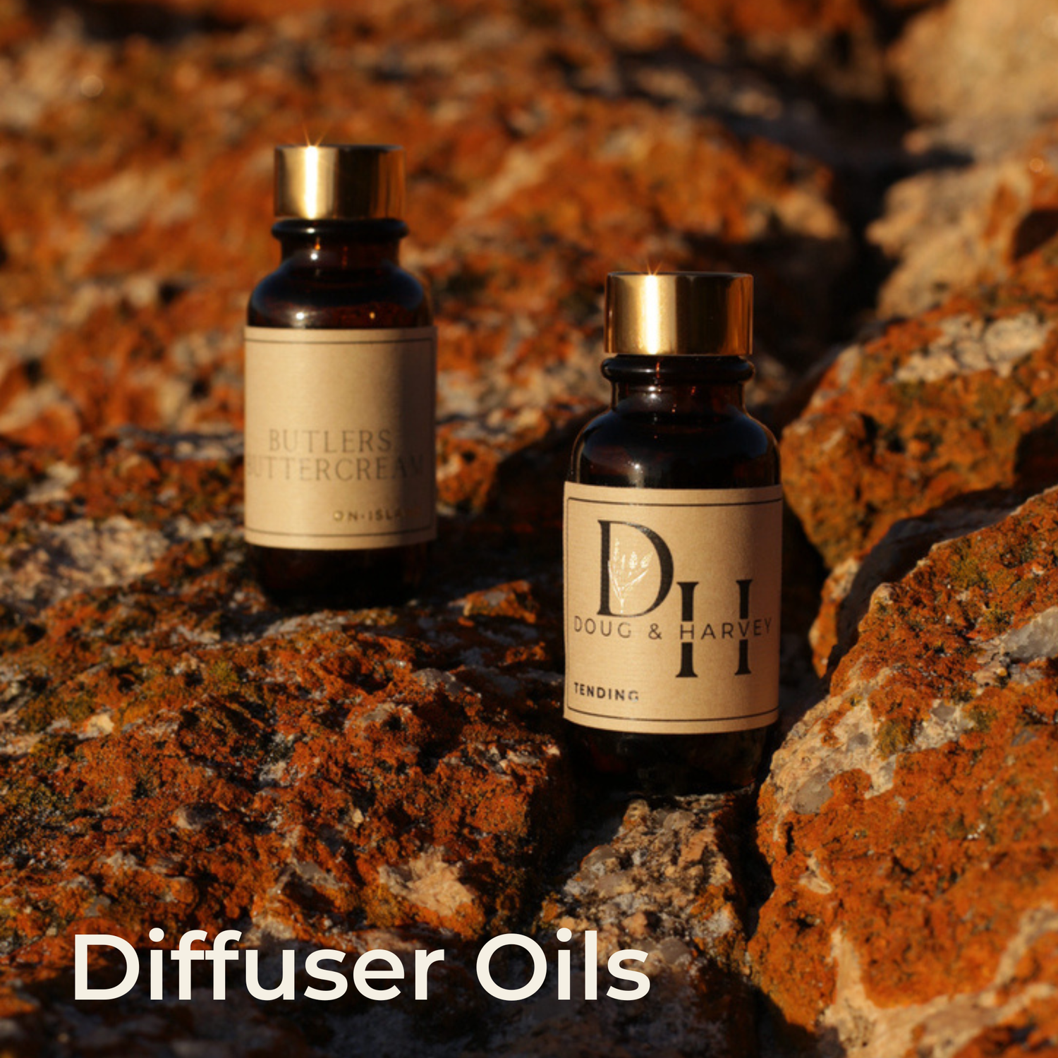 Amber glass bottles of Doug & Harvey diffuser oils with gold caps and kraft paper labels, featuring the "Seymour Cedarwood" scent, displayed on a wooden surface. A text label reading "Diffuser Oils" is included in the bottom corner.