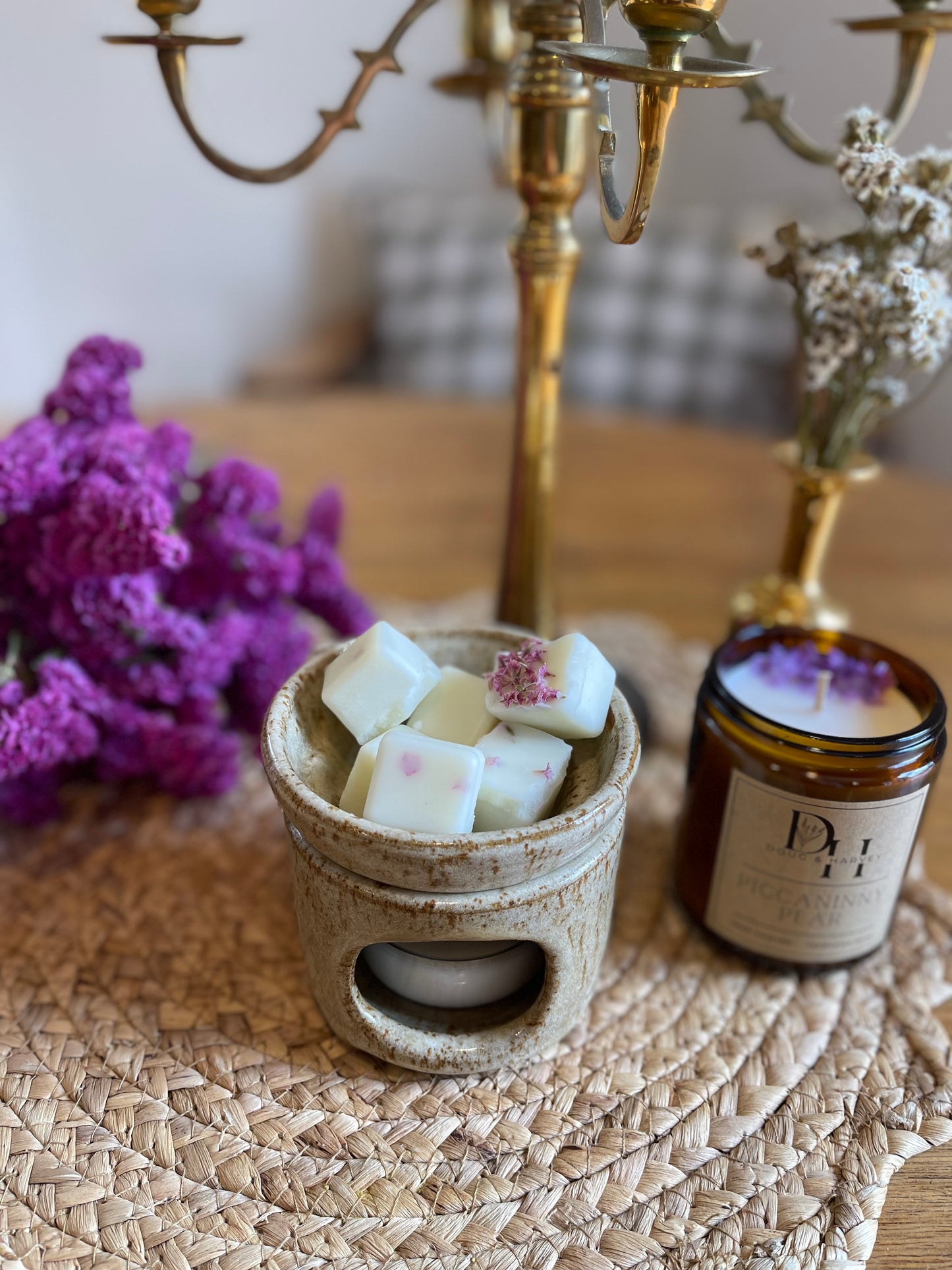 Cape Lodi Coconut 〰 Wax Melts