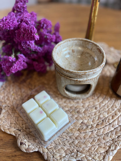 Cape Lodi Coconut 〰 Wax Melts