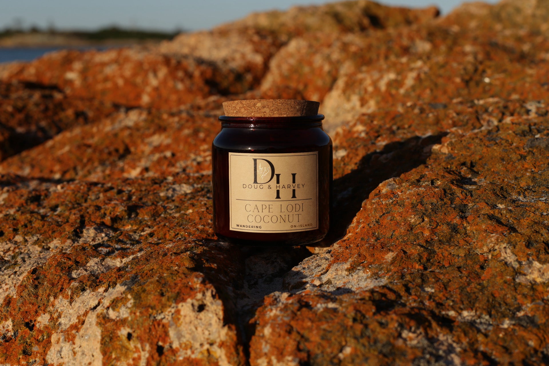 Doug & Harvey ‘Cape Lodi Coconut’ candle in an amber glass jar with cork lid, photographed outdoors on rugged Tasmanian rocks with ocean horizon in the background.