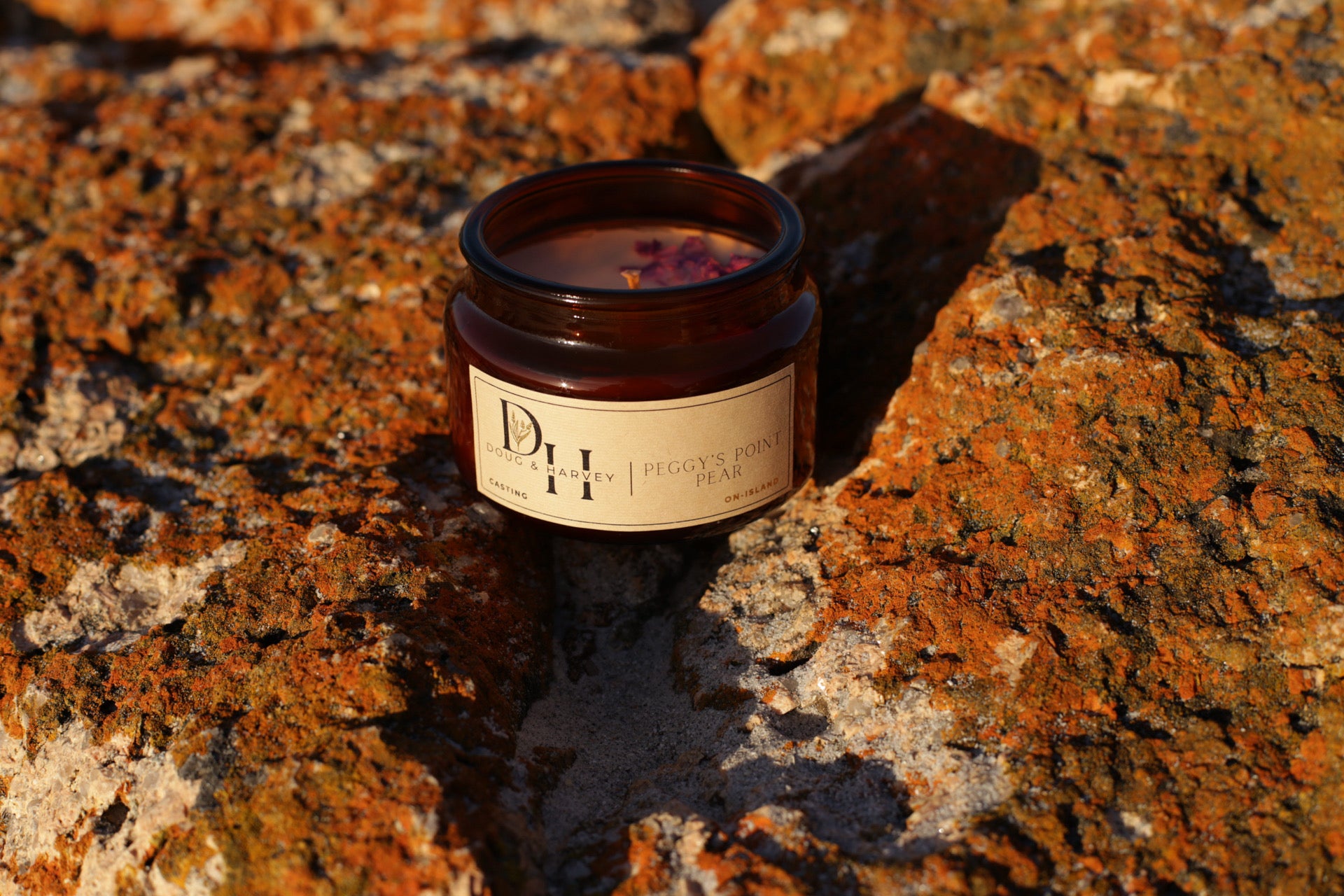 Doug & Harvey ‘Peggy’s Point Pear’ candle in an amber glass jar with visible wax and botanicals, styled outdoors on rugged Tasmanian rocks for a natural coastal aesthetic.